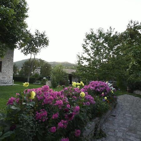 Bujtina Shkodrani Bed and Breakfast Μοσχόπολη Εξωτερικό φωτογραφία