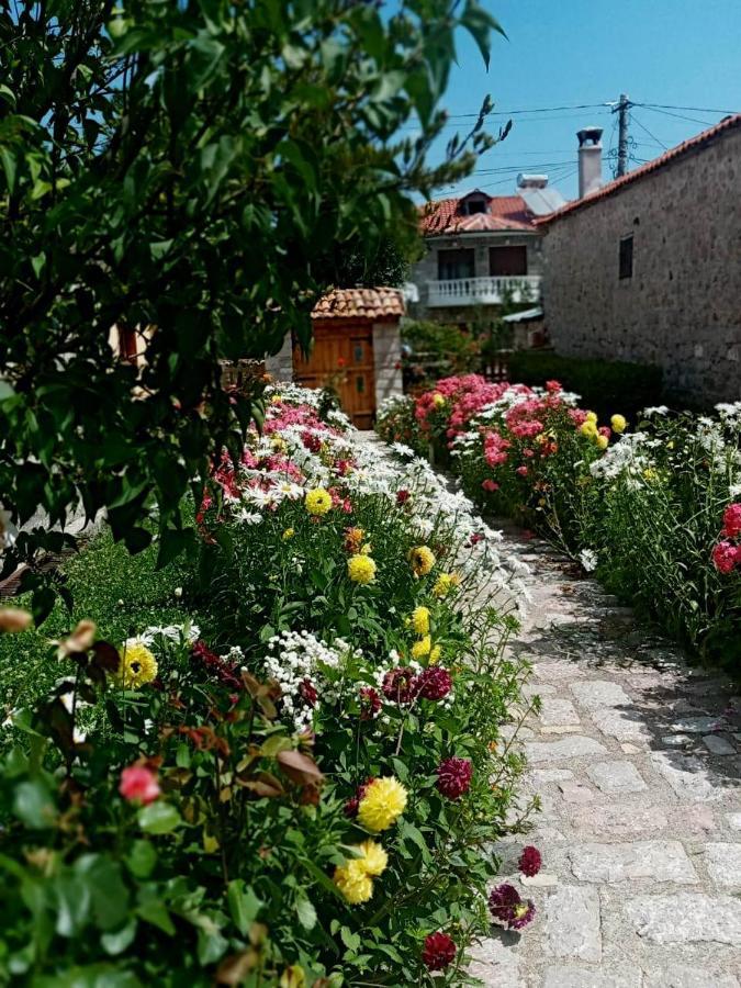 Bujtina Shkodrani Bed and Breakfast Μοσχόπολη Εξωτερικό φωτογραφία