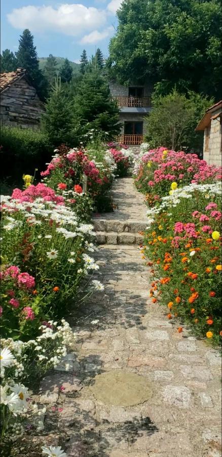 Bujtina Shkodrani Bed and Breakfast Μοσχόπολη Εξωτερικό φωτογραφία