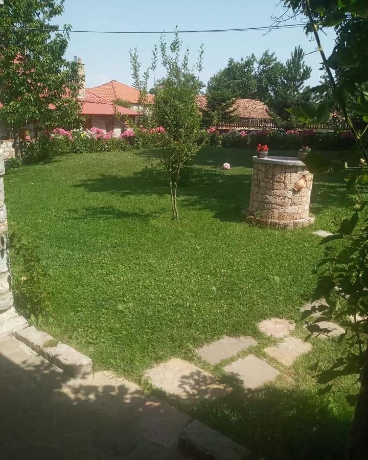 Bujtina Shkodrani Bed and Breakfast Μοσχόπολη Εξωτερικό φωτογραφία
