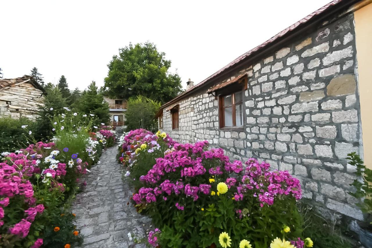 Bujtina Shkodrani Bed and Breakfast Μοσχόπολη Εξωτερικό φωτογραφία