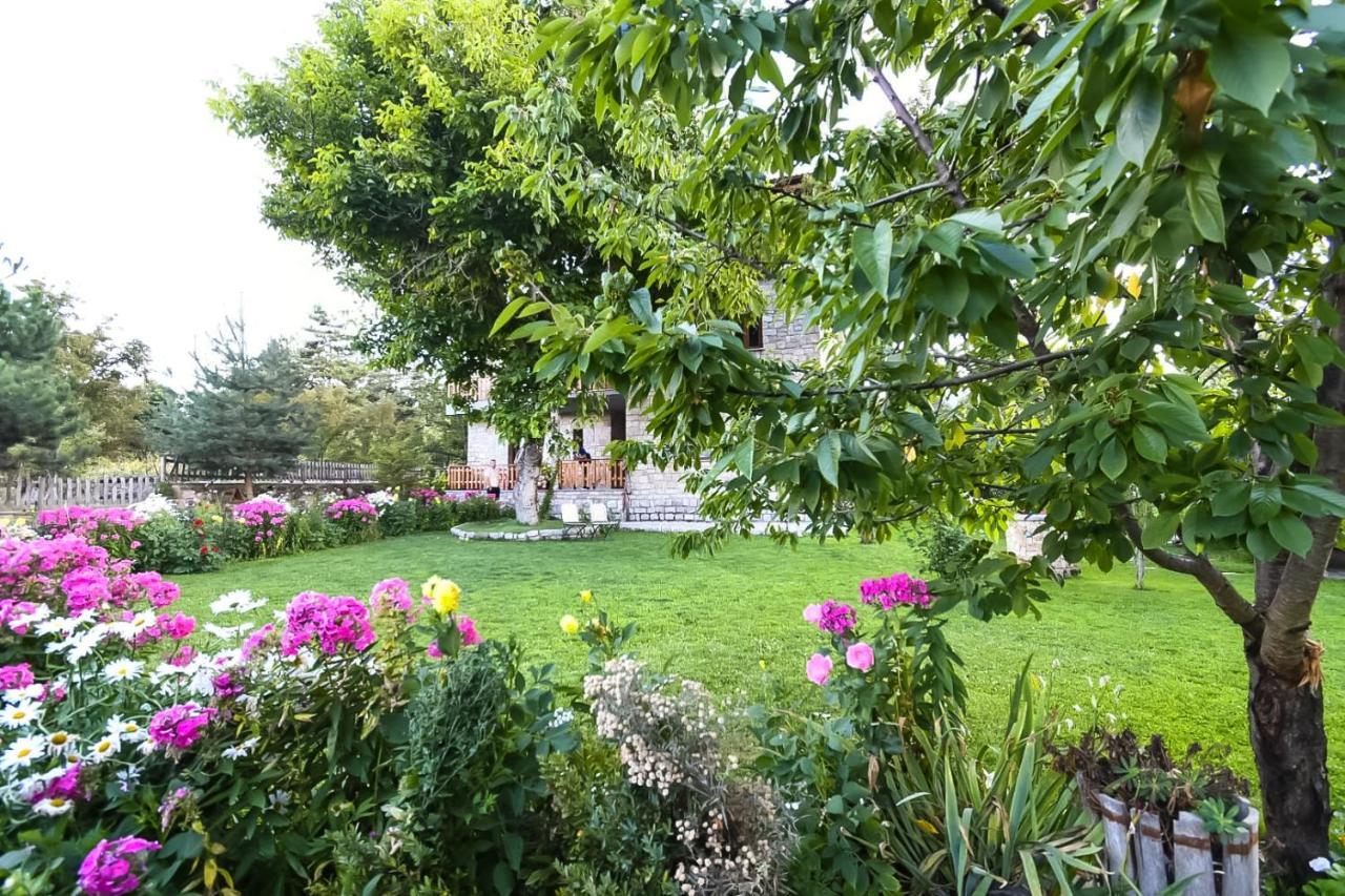 Bujtina Shkodrani Bed and Breakfast Μοσχόπολη Εξωτερικό φωτογραφία