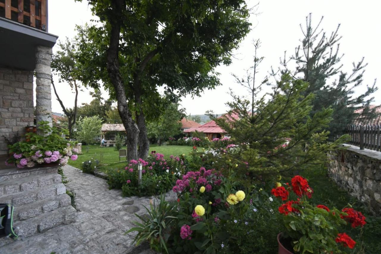 Bujtina Shkodrani Bed and Breakfast Μοσχόπολη Εξωτερικό φωτογραφία